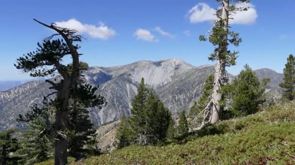 Ώρα ακυρώνονται νέφωση Mt Φαλακρού στο Λος Άντζελες Καλιφόρνια County — Αρχείο Βίντεο
