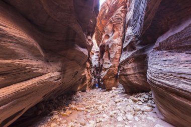 Utah Çölü yuvası kanyona uzun yürüyüşe çıkan kimse