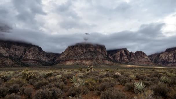 红岩石沙漠暴雨与内华达州的拉斯维加斯附近的缩放 — 图库视频影像