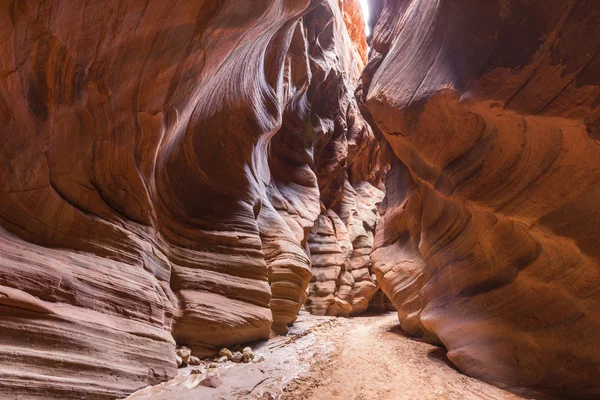 Ranura de desierto estrecho Cañón en el sur de Utah — Foto de Stock