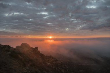 Los Angeles sisli gündoğumu 