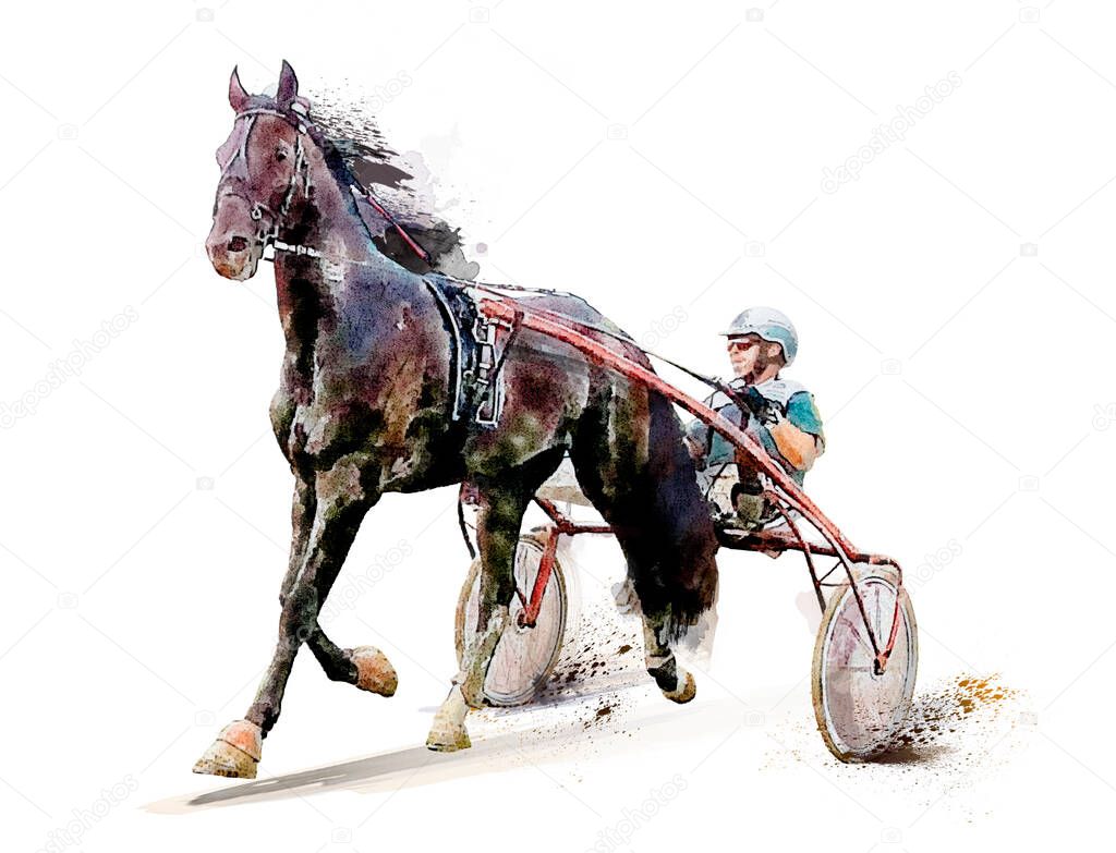 Horse. Equestrian sport. Trotter race. Jockey. Harness racing. Watercolor painting illustration. Hippodrome. Isolated on white background