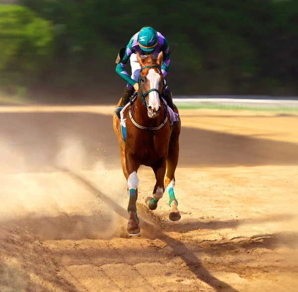 Jockey on racing horse. Sport. Champion. Hippodrome. Racetrack. Equestrian. Derby. Speed. Finish — Stock Photo, Image