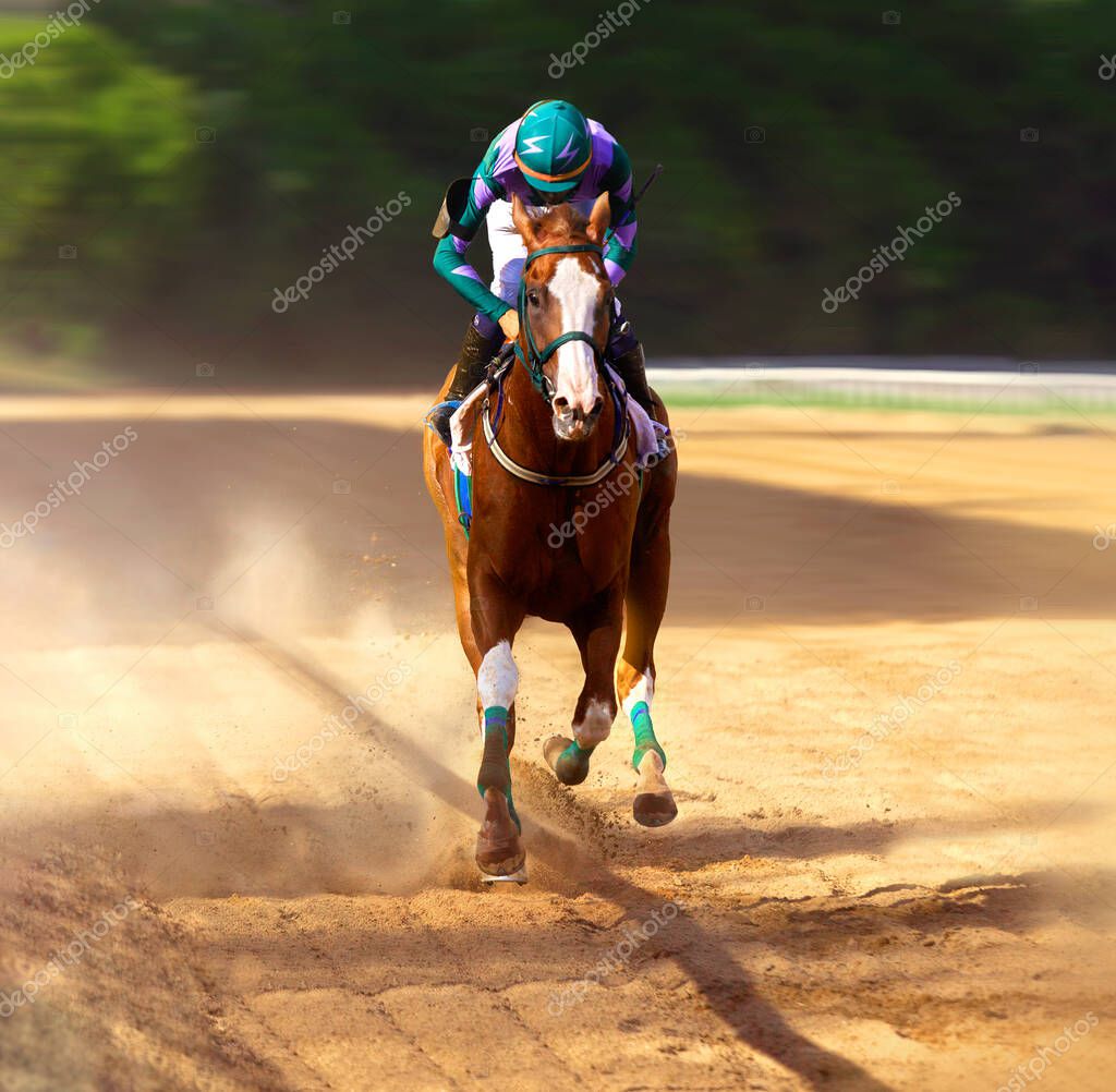 Jockey on racing horse. Sport. Champion. Hippodrome. Racetrack Equestrian Derby Finish Speed