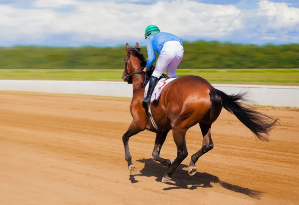 Galopando cavalo de corrida em competição de corrida. Jóquei a cavalo de corrida. Desporto. Campeão. Hipódromo. Racetrack. Equestre. Derby... Velocidade. Acabamento — Fotografia de Stock