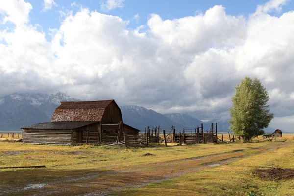 Mormon Row Barn in the Grand Tetons — Stock Photo, Image