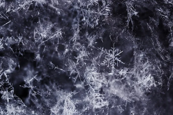 Sluiten Van Een Sneeuwvlok Winter — Stockfoto