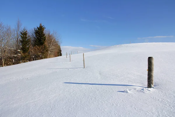Снежные Луга Поля Луга Поля Зимой — стоковое фото
