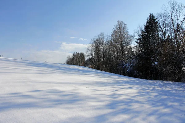 Снежные Луга Поля Луга Поля Зимой — стоковое фото