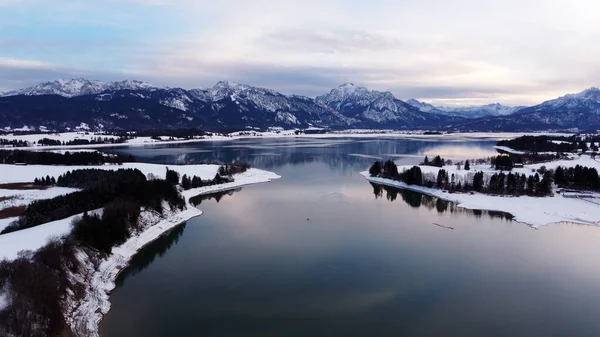 Aerial Drone Shot Forggensee Lake Bavaria Winter Blue Hour — Foto de Stock