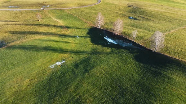 Aerial Drone Shot Łąki Drzew Światłem Cieniem — Zdjęcie stockowe