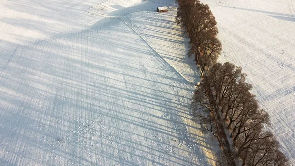 Drone Aéreo Tiro Avenida Inverno Com Faixas Sombras Neve — Fotografia de Stock