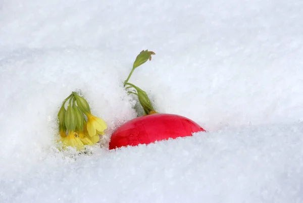 Huevo Pascua Nieve Cuando Nieva Pascua — Foto de Stock