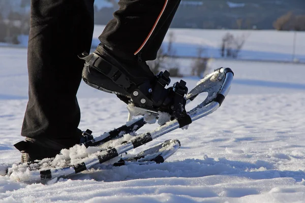 Olahraga Musim Dingin Seorang Wanita Berjalan Melalui Salju Dengan Sepatu — Stok Foto