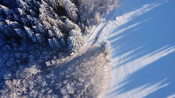 Aerial drone shot of snowy forest path in winter in Bavaria