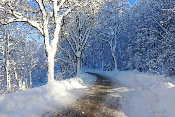 Uma Estrada Inverno Nevado Com Árvores Baviera — Fotografia de Stock