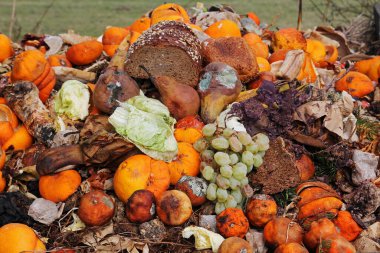Organik atıklar üzerine atılmış meyve ve ekmek