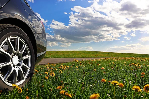 A car ride into nature. A black car stands in a dandelion meadow in springtime