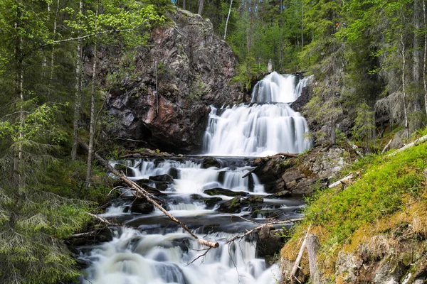 Nationalpark Paanajarvi Wasserfall Wald — Stockfoto