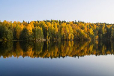 İyi akşamlar, göl ve ormanın güzel manzarası Girvas, Karelia