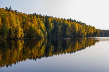 İyi akşamlar, göl ve ormanın güzel manzarası Girvas, Karelia