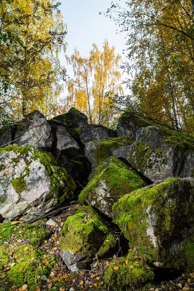 Parkta Büyük Taşlar Var Beyaz Dağ Karelia — Stok fotoğraf