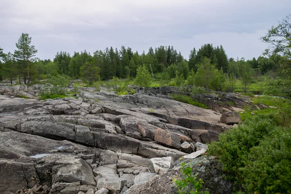 Büyük kaya ve ormanın güzel manzarası