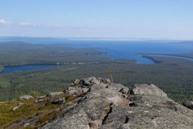 Paanajarvi Ulusal Parkı, Kivaka Dağı 'ndan Karelia' daki orman ve göl manzarasına kadar güzel bir manzara. 