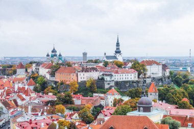 Tallinn şehrinin kırmızı çatıları arka plandaki katedralde