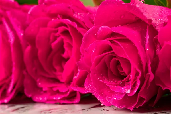 Background with roses closeup. Shallow depth of field. — Stock Photo, Image