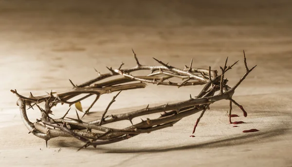 Corona de espinas con goteo de sangre. Concepto cristiano de sufrir — Foto de Stock