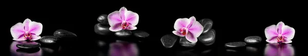 Horizontal panorama with pink orchids and zen stones on black ba — Stock Photo, Image