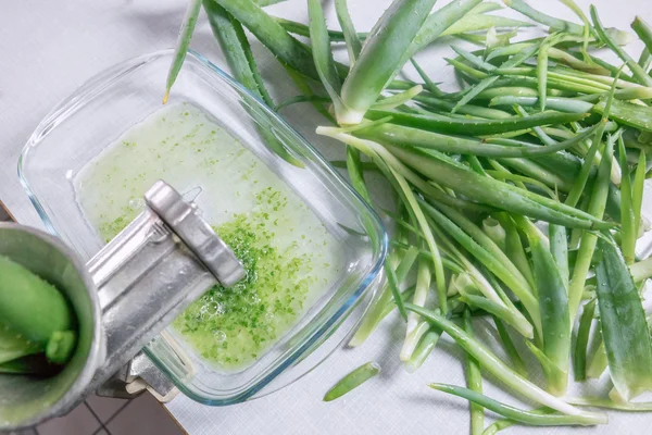 The process of extracting juice from aloe leaves — Stock Photo, Image