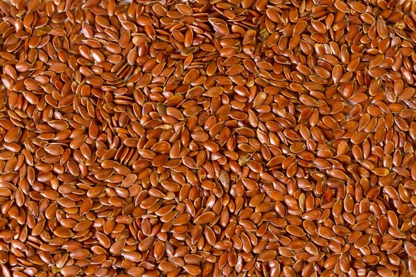 Tło brązowych nasion lnu — Zdjęcie stockowe