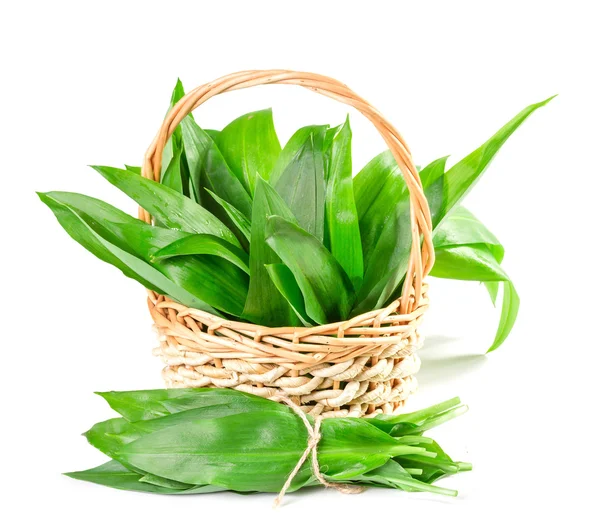 Basket with wild garlic leaves on a white background — Stock Photo, Image