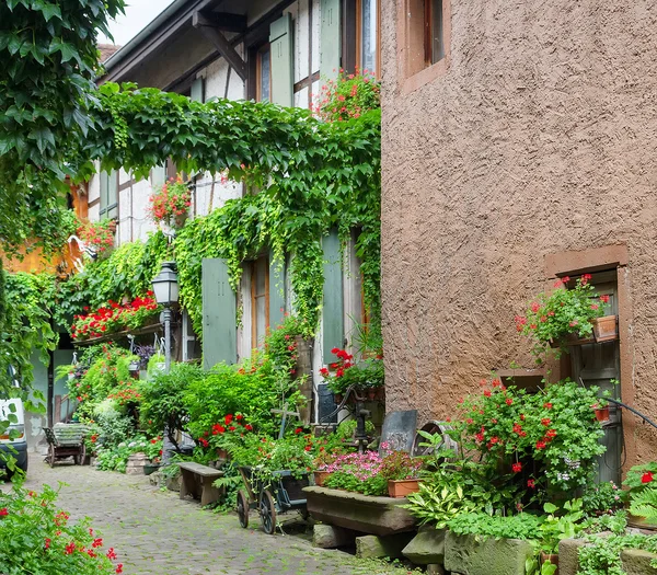 Exteriér starého domu s květinami a rostlinami v Colmar. Alsasko. — Stock fotografie