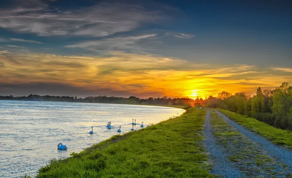 Der Rhein bei Sonnenuntergang — Stockfoto