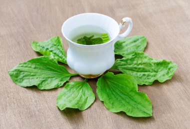 Herbal tea from the leaves of the plantain clipart