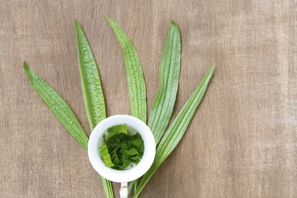 Kräutertee aus den Blättern des Wegerichts — Stockfoto