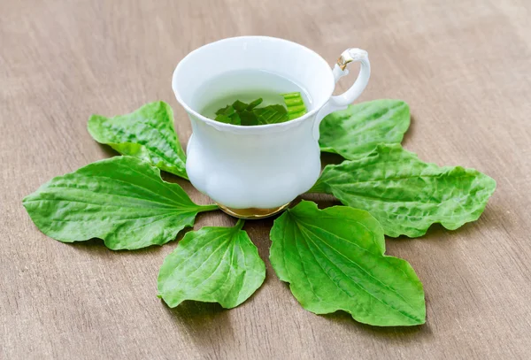 Ziołowe herbaty z liści babki lancetowatej — Zdjęcie stockowe