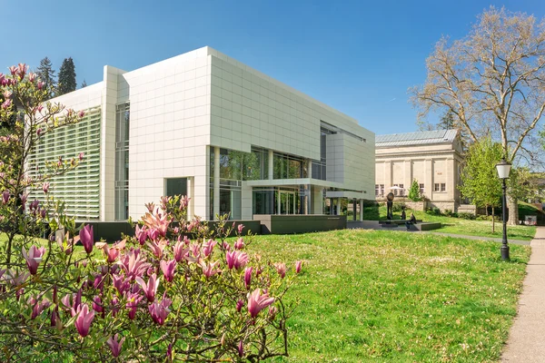 BADEN-BADEN, GERMANY  - MAY 4: Museum Frieder Burda in the histo — Stock Photo, Image