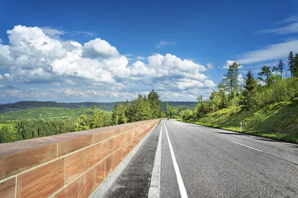 Highland yol Almanya'da Kara Orman. — Stok fotoğraf