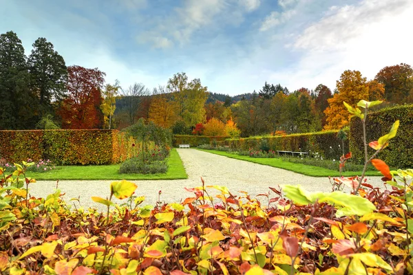 Colores otoñales. Hermoso paisaje de otoño — Foto de Stock