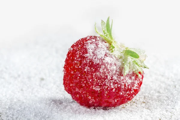 Ripe strawberry in sugar closeup — Stock Photo, Image