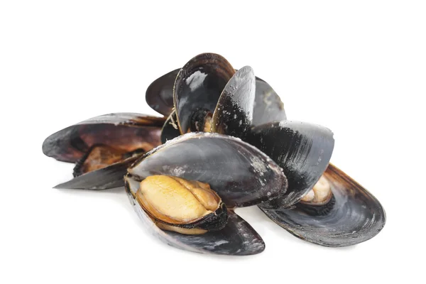 Cozze bollite isolate su bianco — Foto Stock