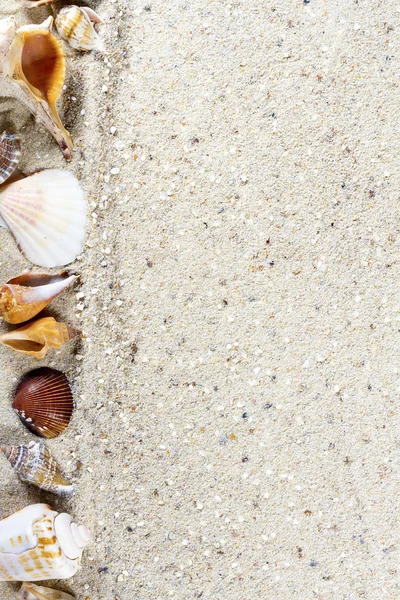 Fondo de viaje con arena y conchas. Playa de verano . —  Fotos de Stock