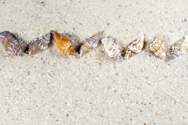 Reisehintergrund mit Sand und Muscheln. Sommerstrand. — Stockfoto