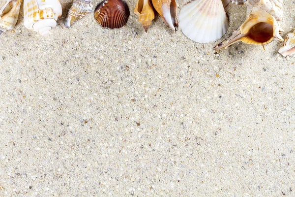 Reisehintergrund mit Sand und Muscheln. Sommerstrand. — Stockfoto