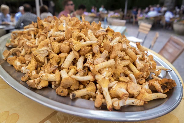 Grande pilha de chanterelles em uma bandeja — Fotografia de Stock