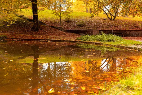 Paisaje Otoñal Baden Baden Europa Alemania —  Fotos de Stock